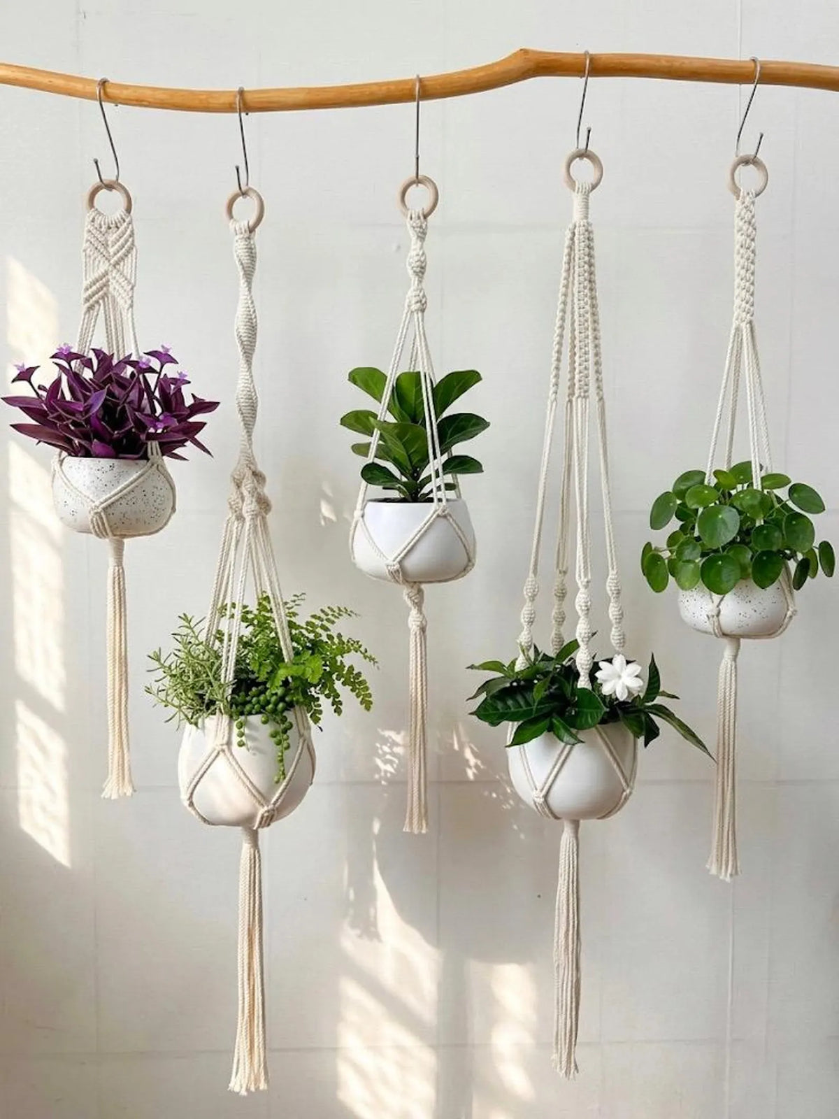 Macrame Plant Hanger