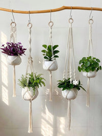 Macrame Plant Hanger