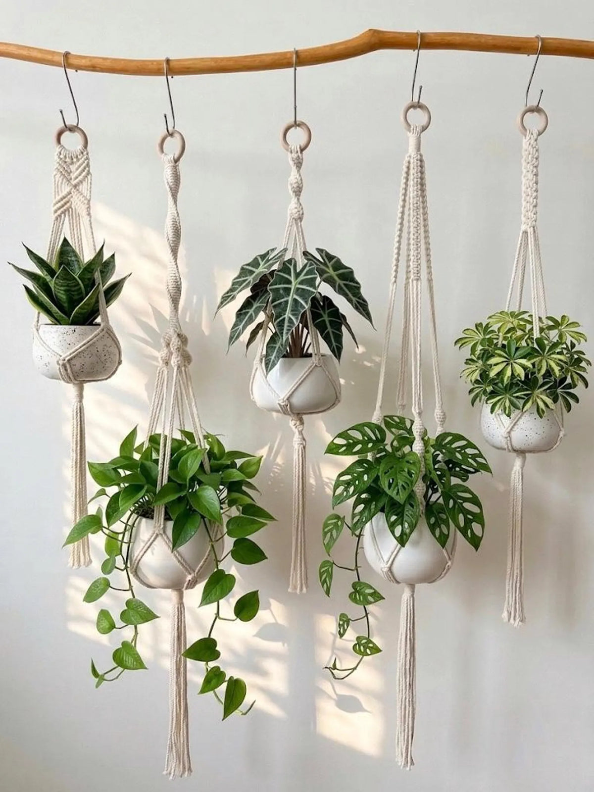 Macrame Plant Hanger