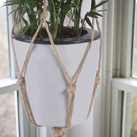Bohemian Cotton Plant Hanger