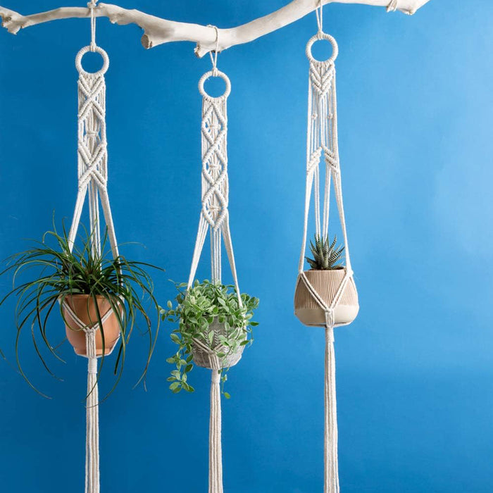 Bohemian Cotton Plant Holder Fringe