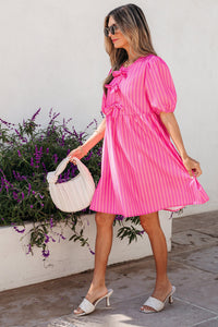 Bohemian Ruffle Sleeve Mini Dress
