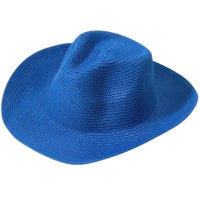 Bohemian wide brim straw fedora