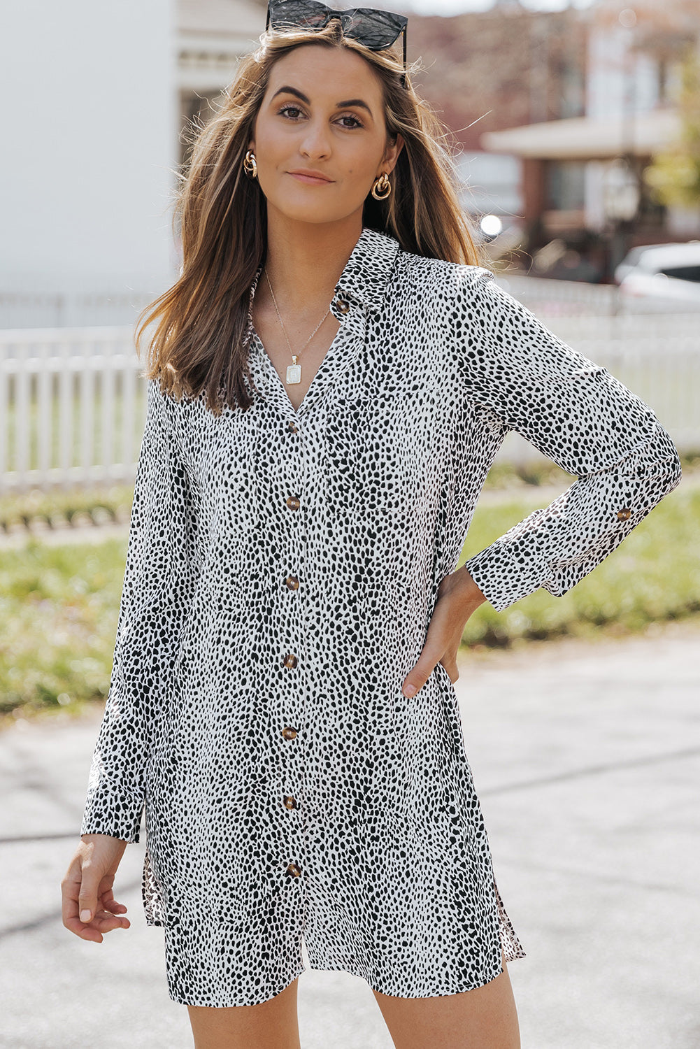 Boho Animal Print Mini Dress