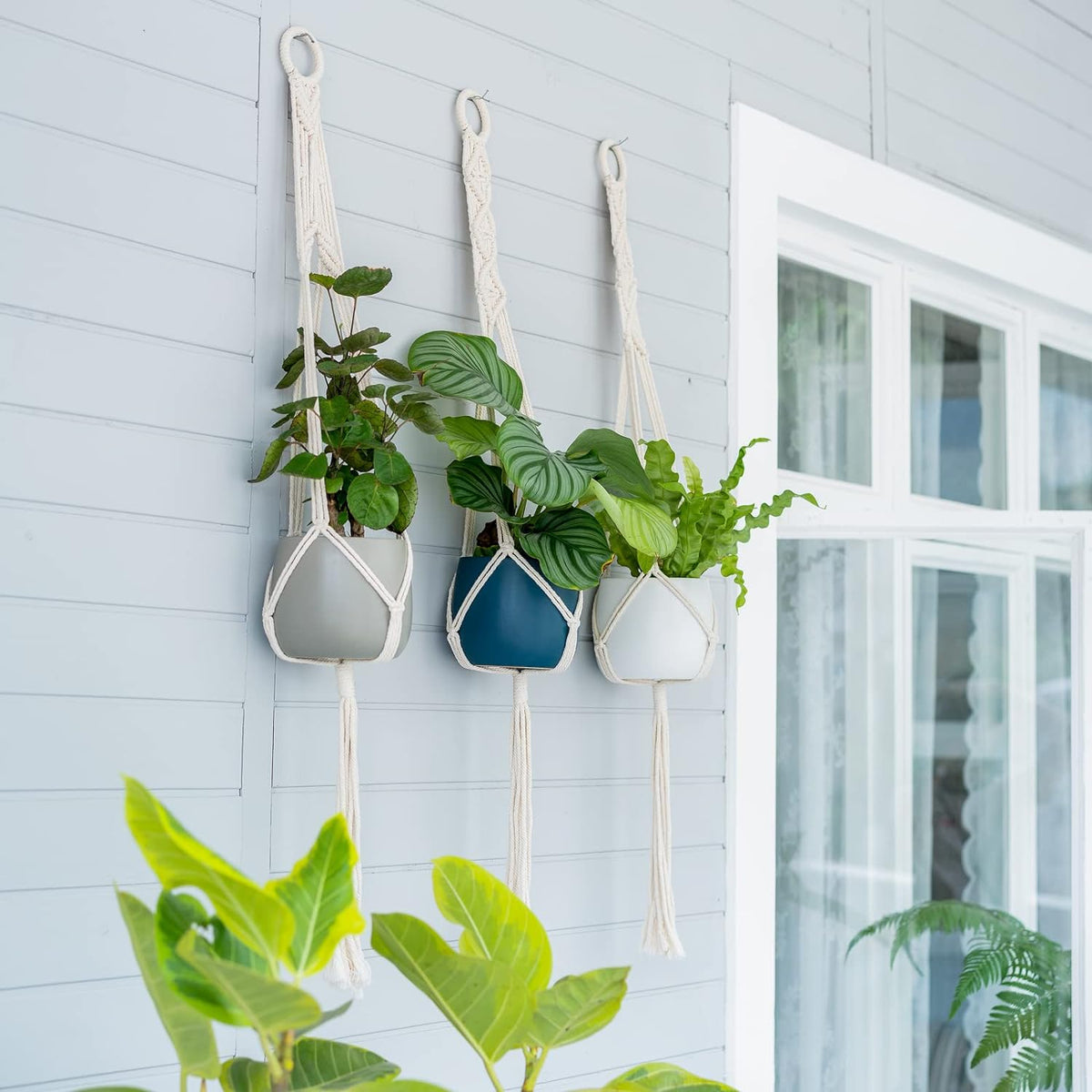 Boho Corner Hanging Plant Decor