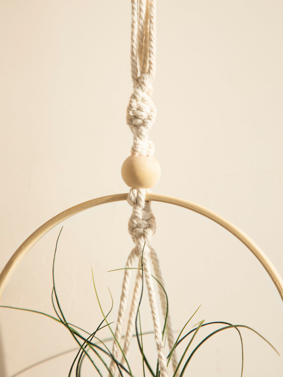 Boho Corner Hanging Plant Display