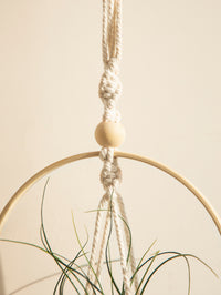Boho Corner Hanging Plant Display