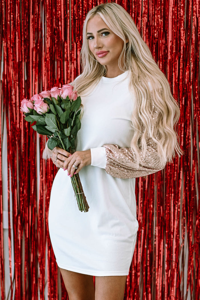 Boho Sequin Puff Sleeve Mini Dress