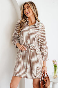 Brown Bohemian Casual Day Dress