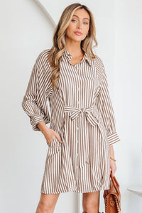 Brown Boho Mini Dress Detail