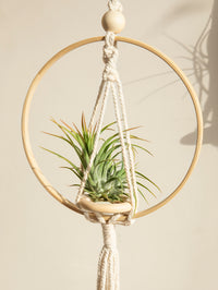 Handmade Jute Macrame Planter