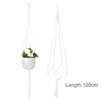Kitchen Window Hanging Planter