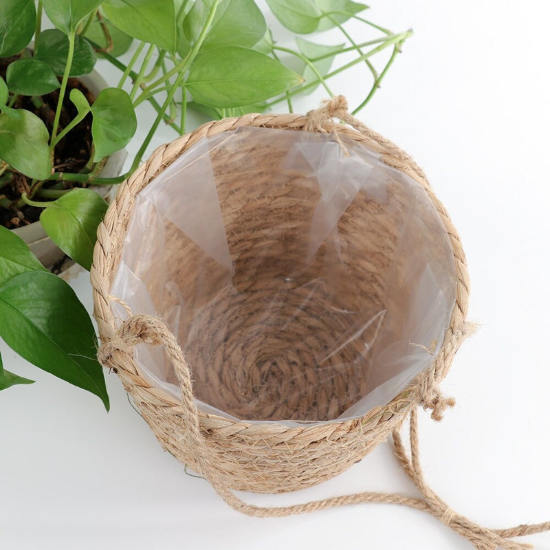 Kitchen window hanging planter