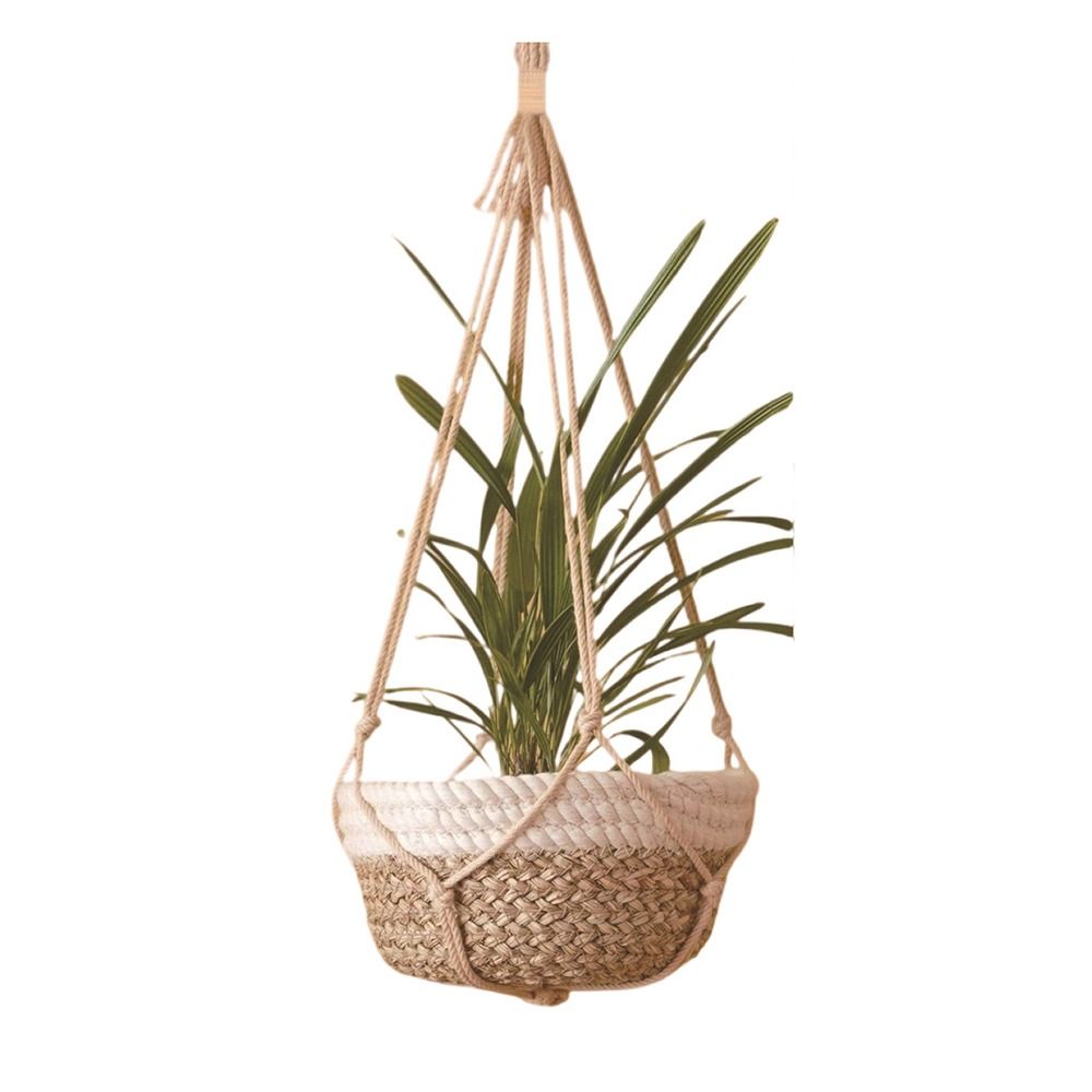 Kitchen window plant hanger