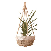Kitchen window plant hanger