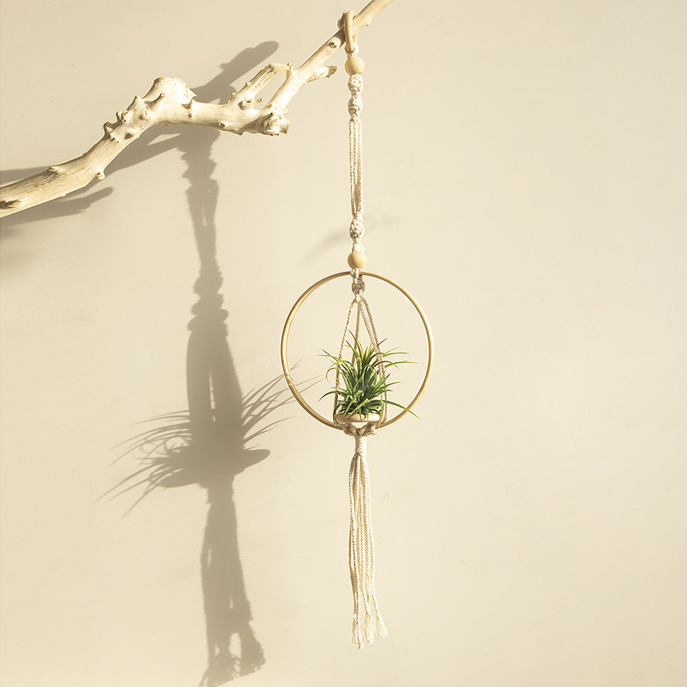 Knotted Bohemian Wall Planter Decor
