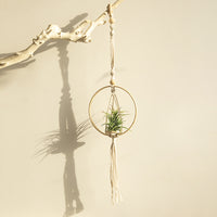 Knotted Bohemian Wall Planter Decor
