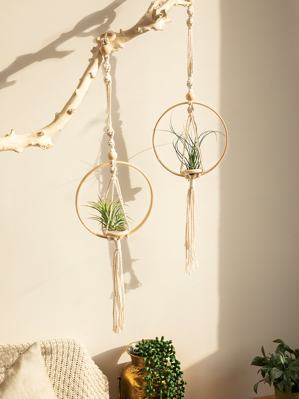 Macrame Air Plant Hanger