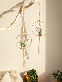 Macrame Air Plant Hanger