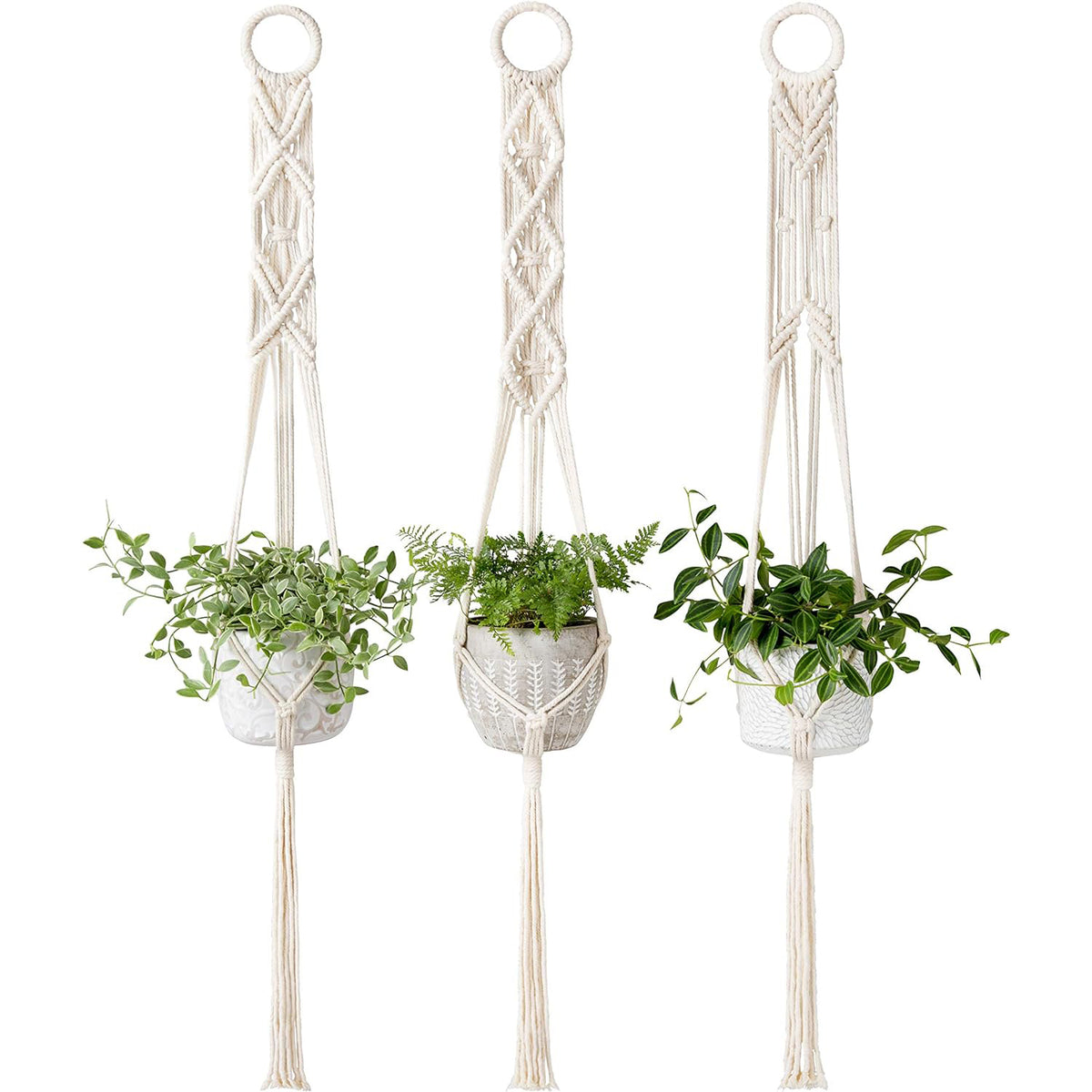Macrame Wall Plant Hanger