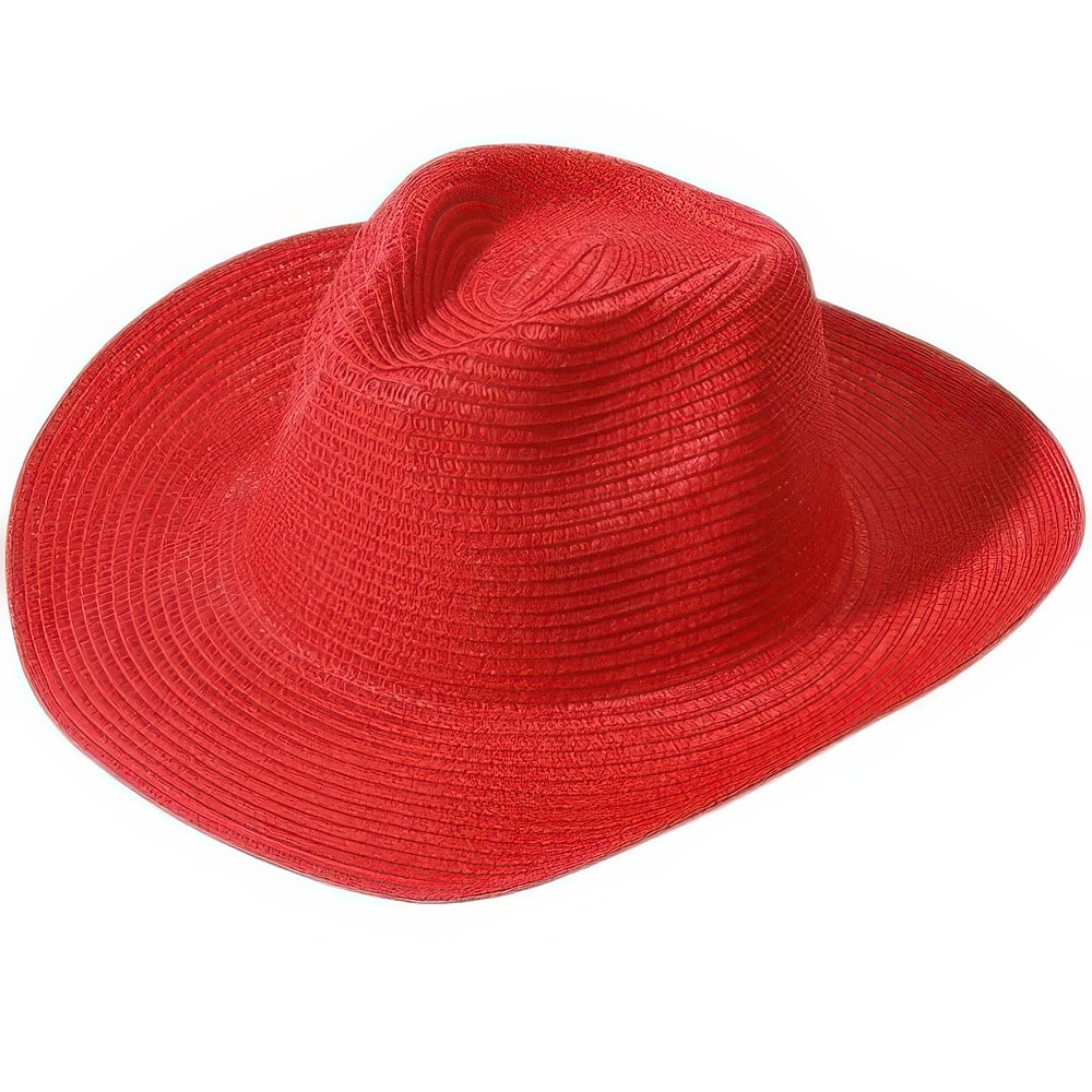 Natural woven straw bohemian hat