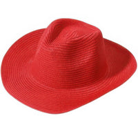 Natural woven straw bohemian hat