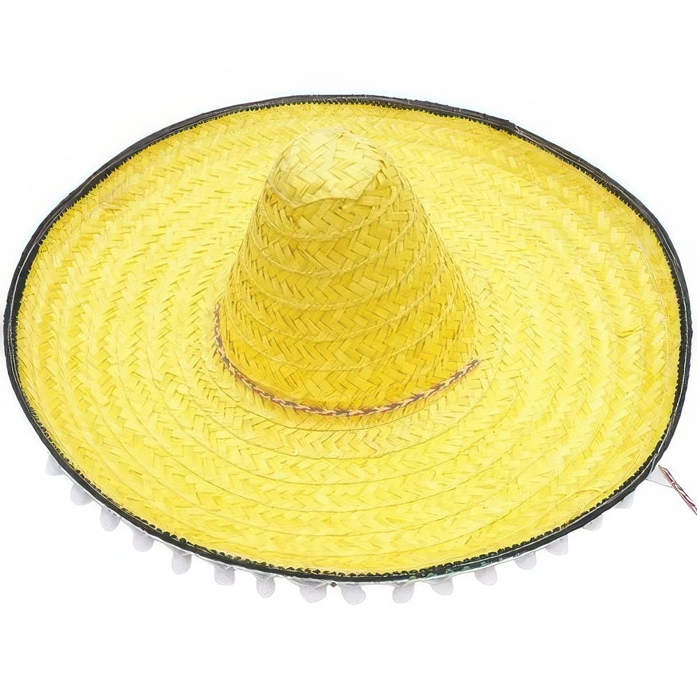 Tan bohemian wide brim hat