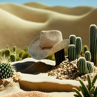 Wide brim bohemian straw hat