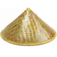 Wide Brim Straw Hat Paille